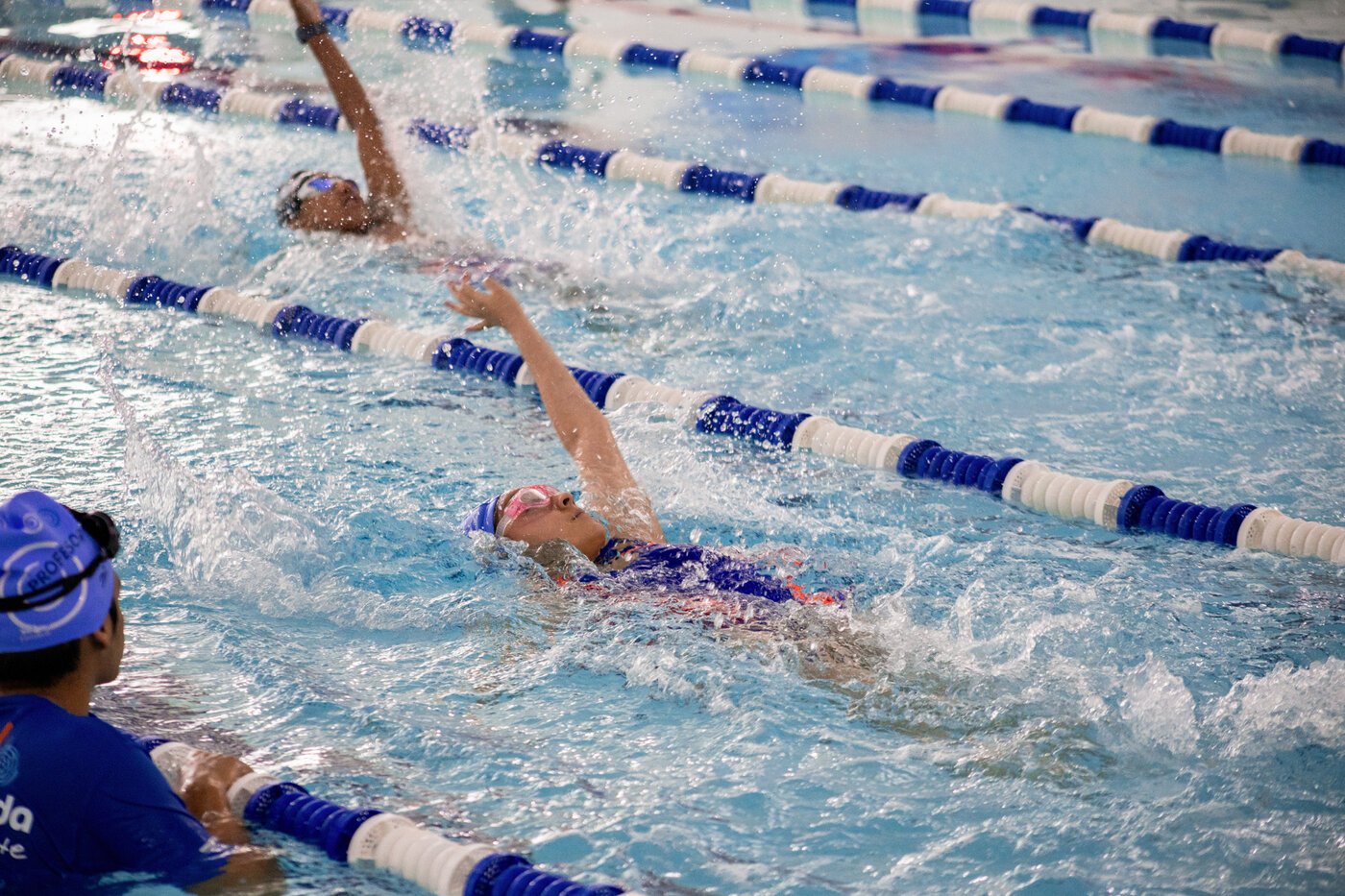 Natación Club Cañada Polanco